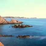 Petit Blau *
