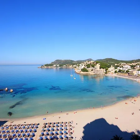 Petit Blau * Peguera