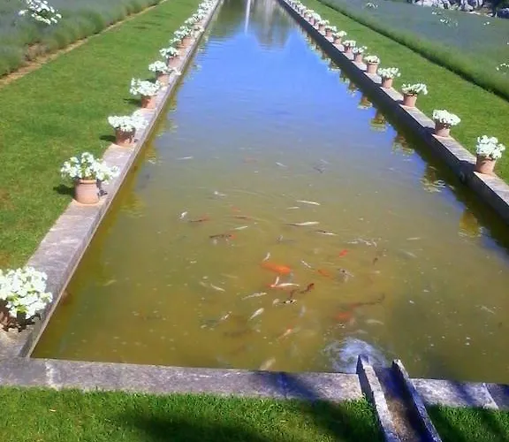 Petit Blau * Peguera