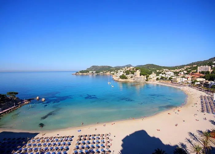 Petit Blau * Peguera