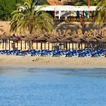 Petit Blau * 파구에라