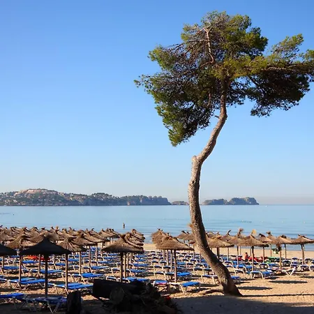 Διαμέρισμα Petit Blau
