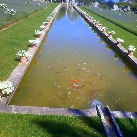 Petit Blau * Peguera