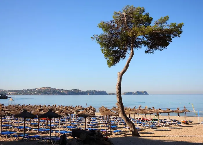 Apartamento Petit Blau